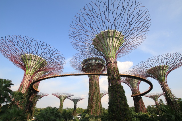 Garden By the Bay