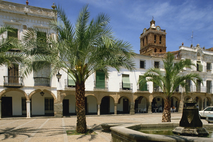 Take a break under the palm trees in Zafra's Plaza Grande © Michael Busselle - Robert Harding - Getty Images