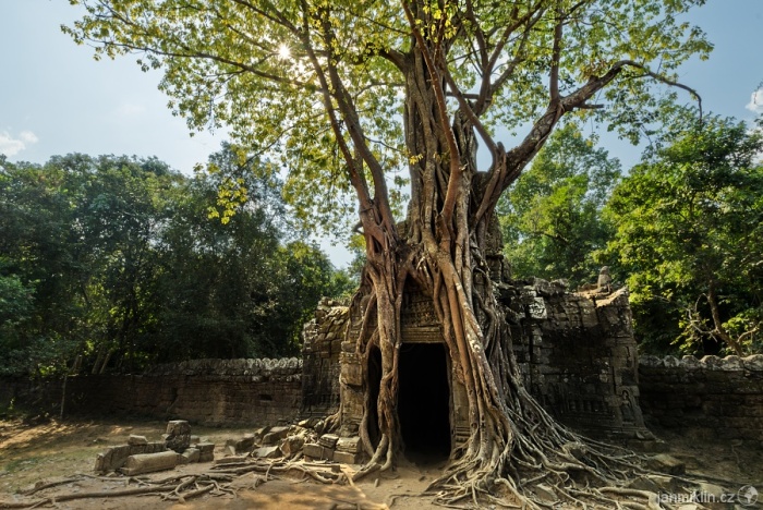 Angkor_6 Angkor_6