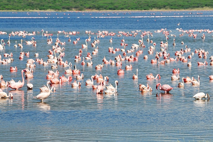 Boghoria a Baringo_1 Boghoria a Baringo_1