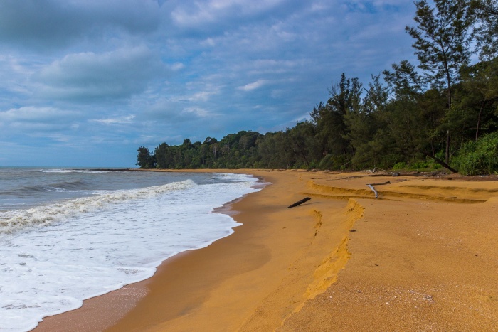 Borneo2_1 Borneo2_1