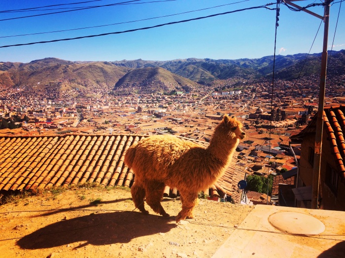Peru 1 Peru 1