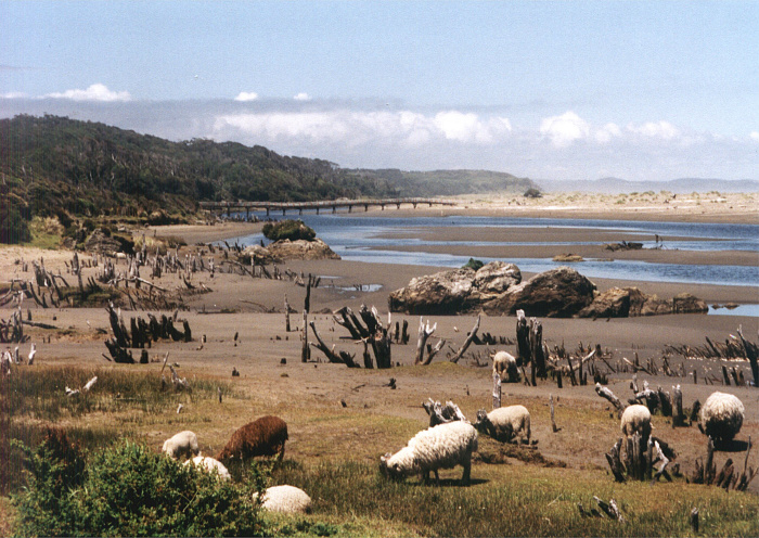 NP Chiloe_1 NP Chiloe_1