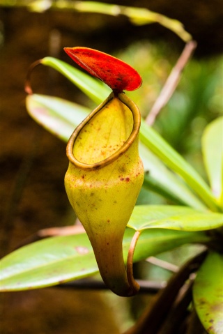 Seychely_5 Seychely_5