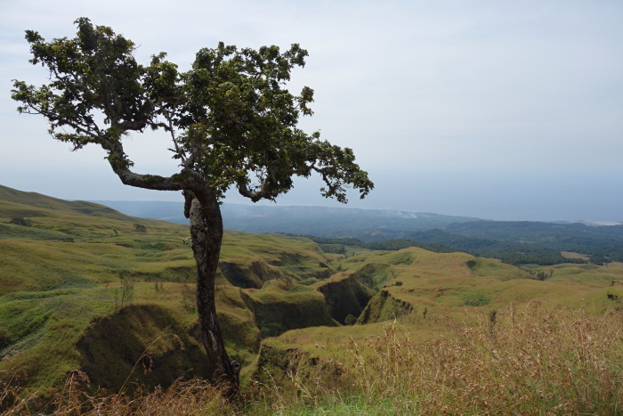 Rinjani - výstup začal