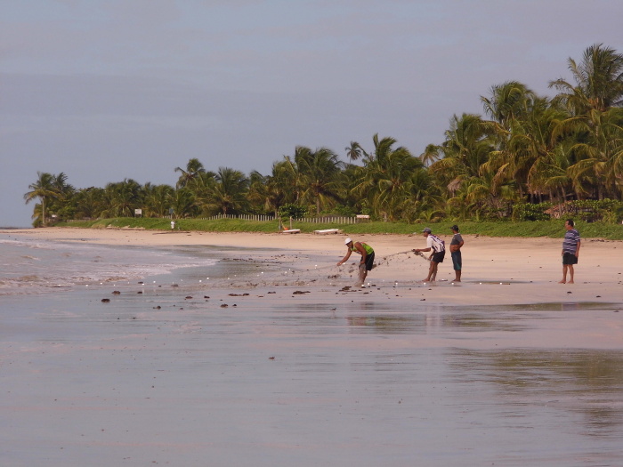 Alagoas Brazílie