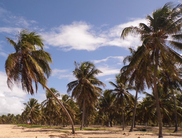 Alagoas Brazílie