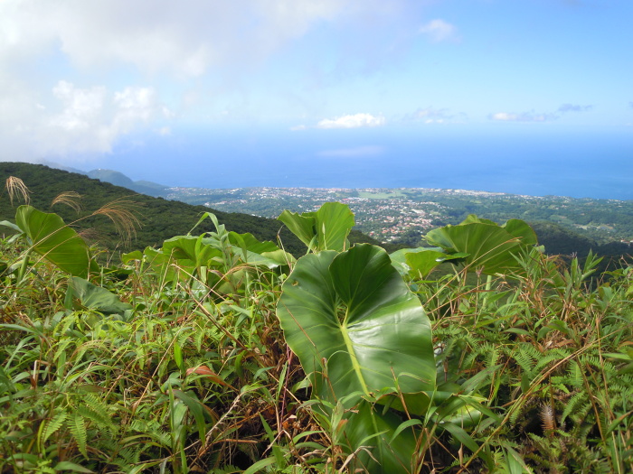 Basse Terre a Karibské moře