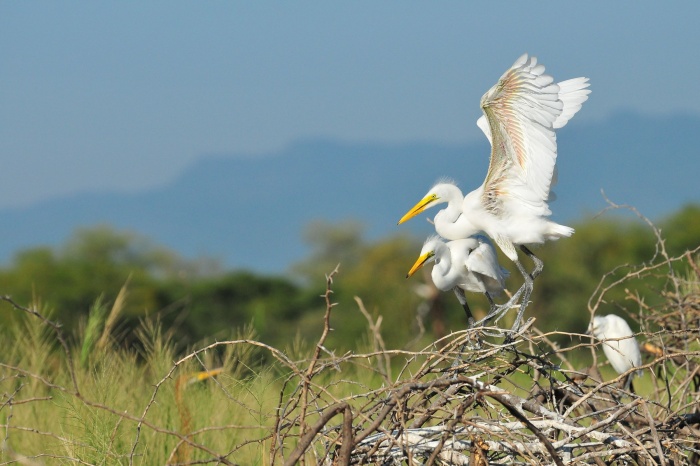 Boghoria a Baringo_8