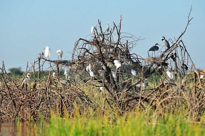 Boghoria a Baringo_4