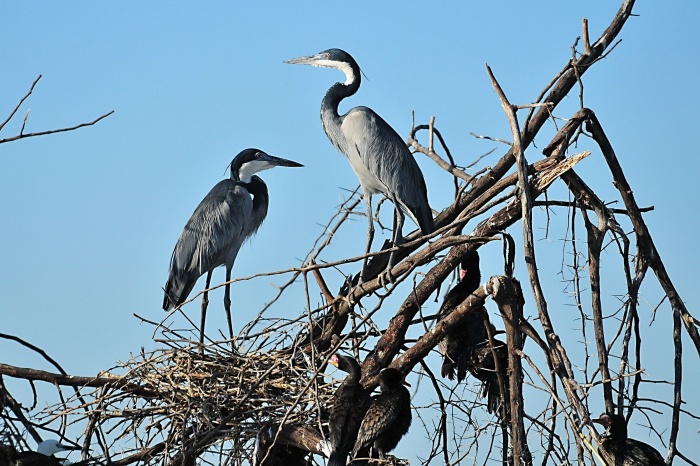 Boghoria a Baringo_7