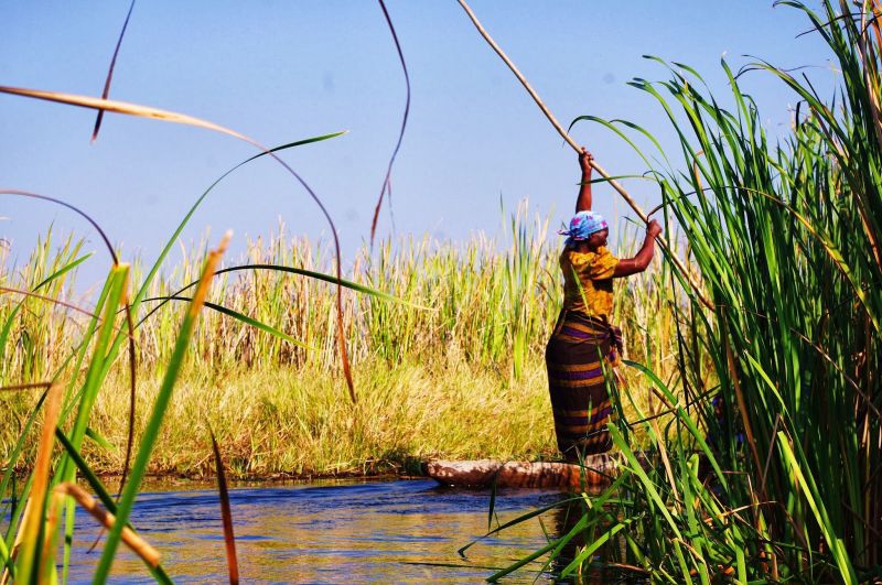 Plavba deltou Okavango.