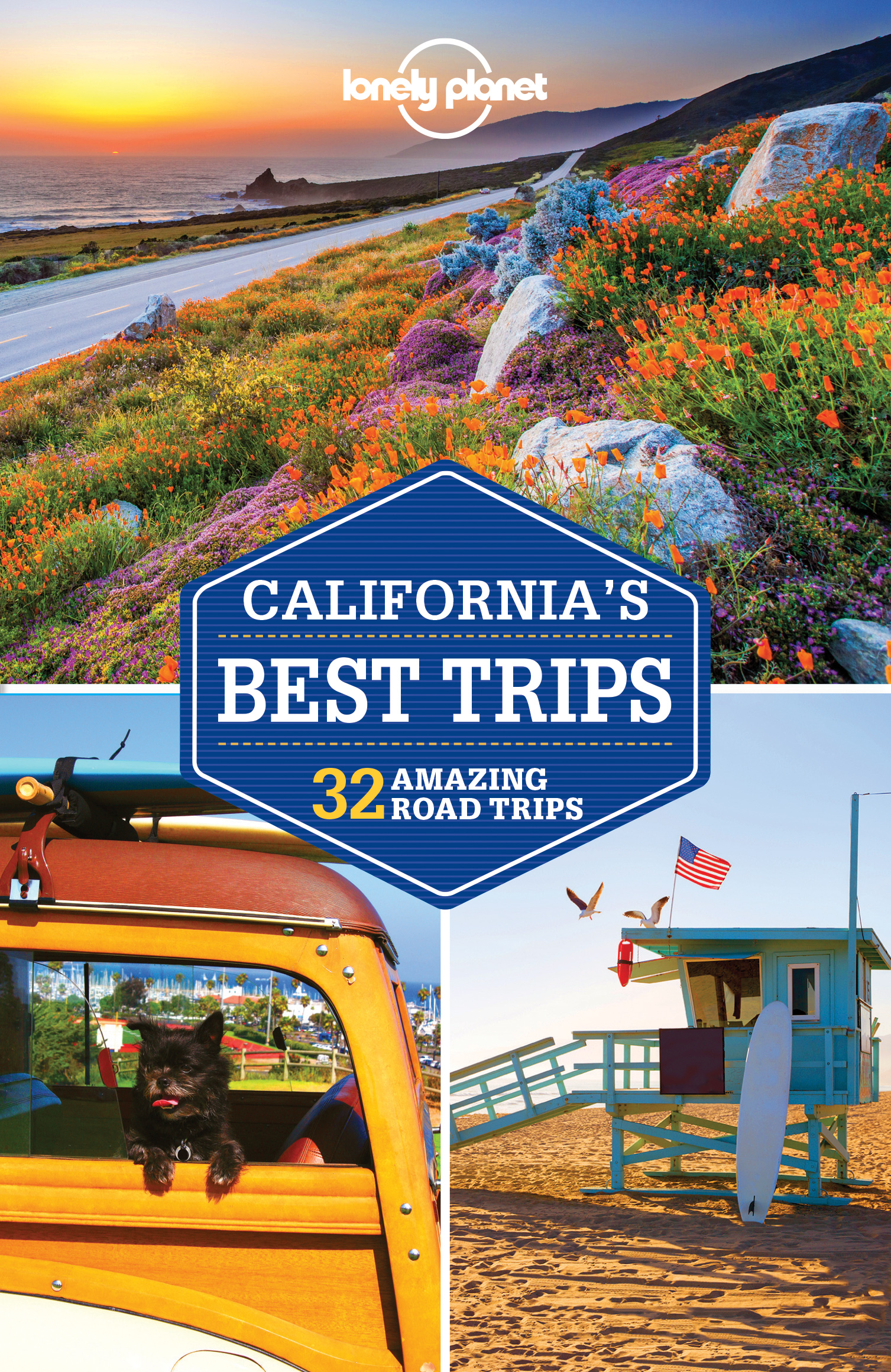 http://eshop.lonelyplanet.cz/vyhledavani/?string=California