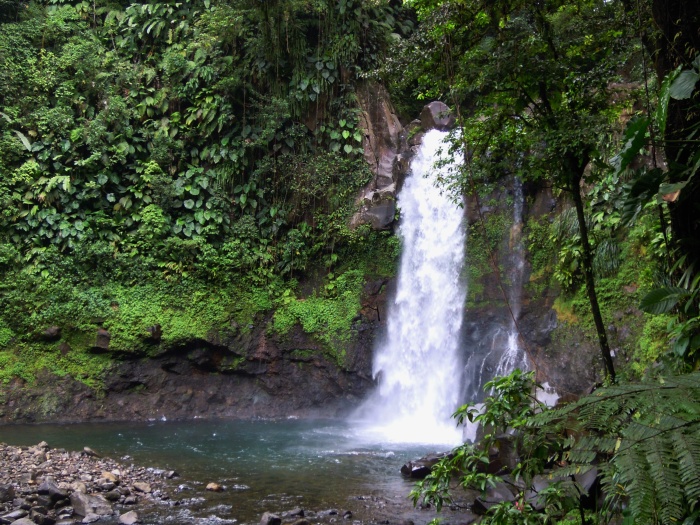 Les Chutes de Carbet_3