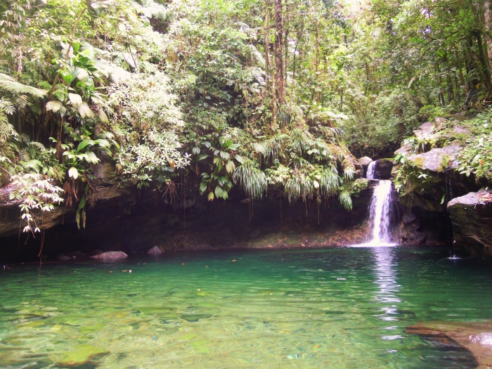 Les Chutes de Carbet_2