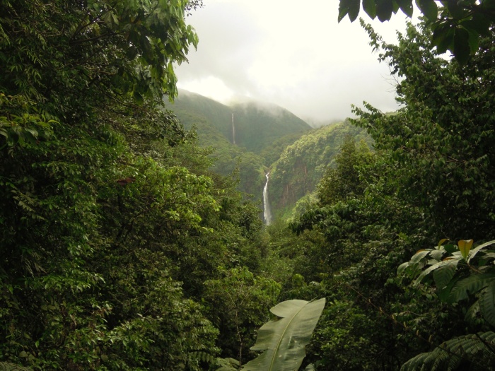 Les Chutes de Carbet_4