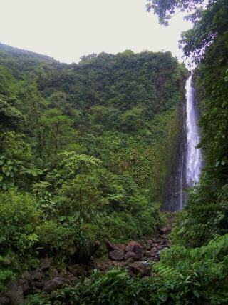 Les Chutes de Carbet_5