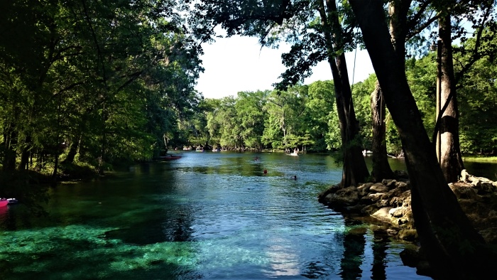 Ginnie Springs