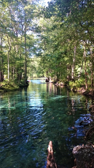 Ginnie Springs_2