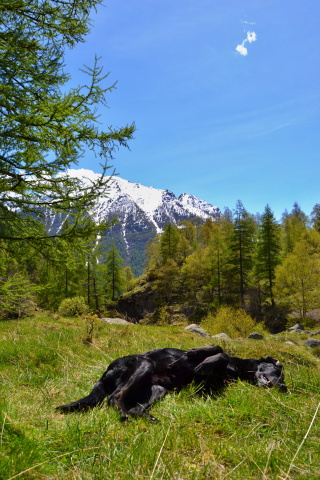 Grand Paradiso NP