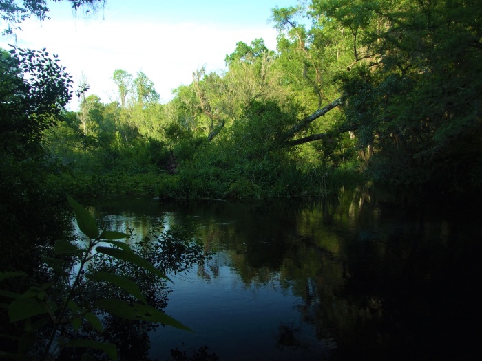 Ichetacknee river