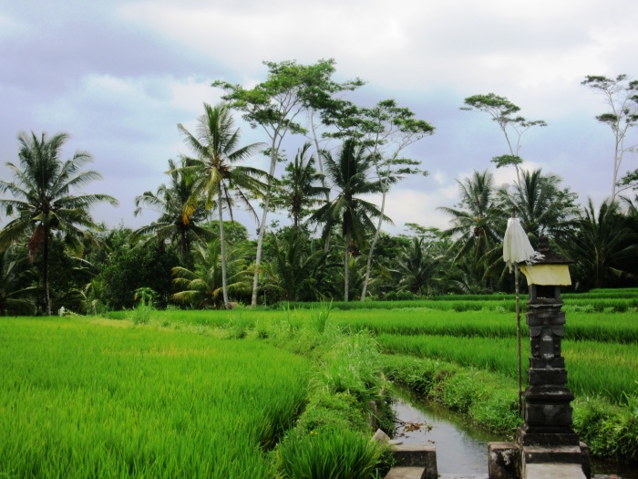 Ubud_2