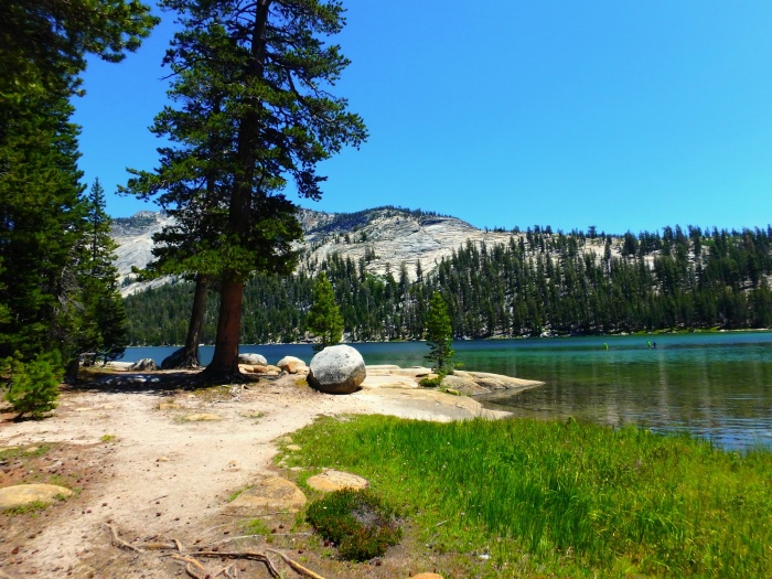 Yosemity NP