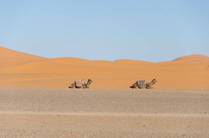 Merzouga_4