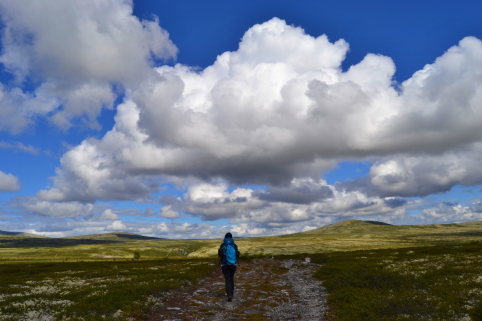 Rondane NP