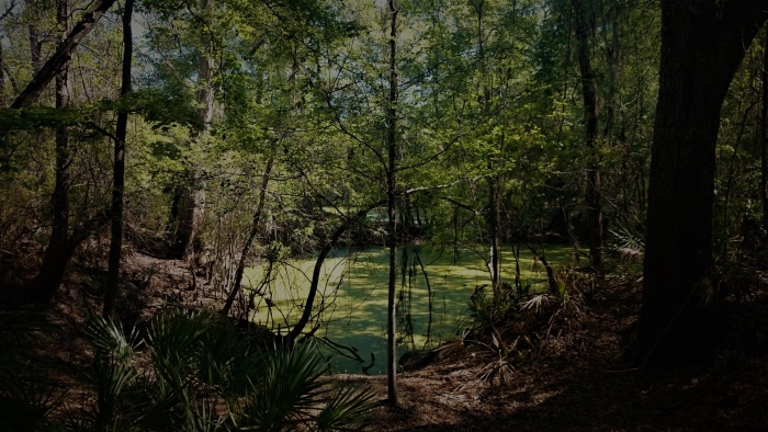 O'Leno state park