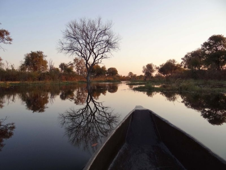 Delta Okavanga