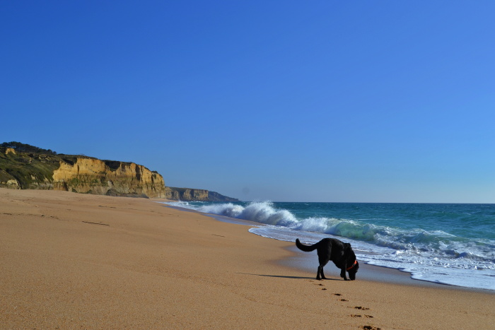 Sesimbra