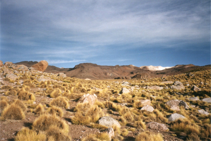 Tatio_4