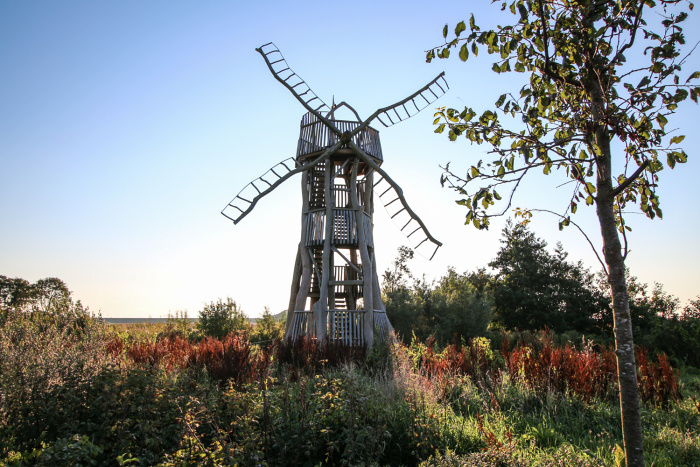 The Ontstaan Uit Iepen van de Molenlaan, can be spotted just opposite De Cocksdorp's supermarket © Catherine Le Nevez - Lonely Planet