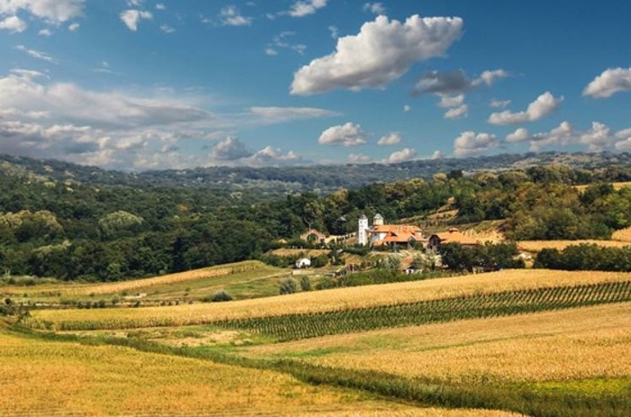 V pohoří Fruška Gora stojí více než desítka srbských pravoslavných klášterů © Nevena Uzurov / Getty Images