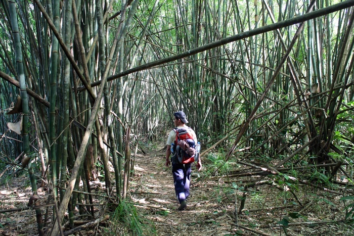 Laos trek úvod