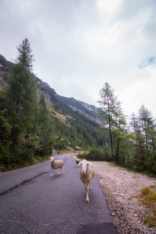 Roadtrip Slovinsko_Vršič