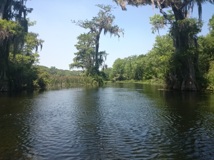 Wakulla spring river2