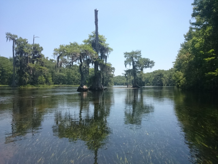 Wakulla spring river